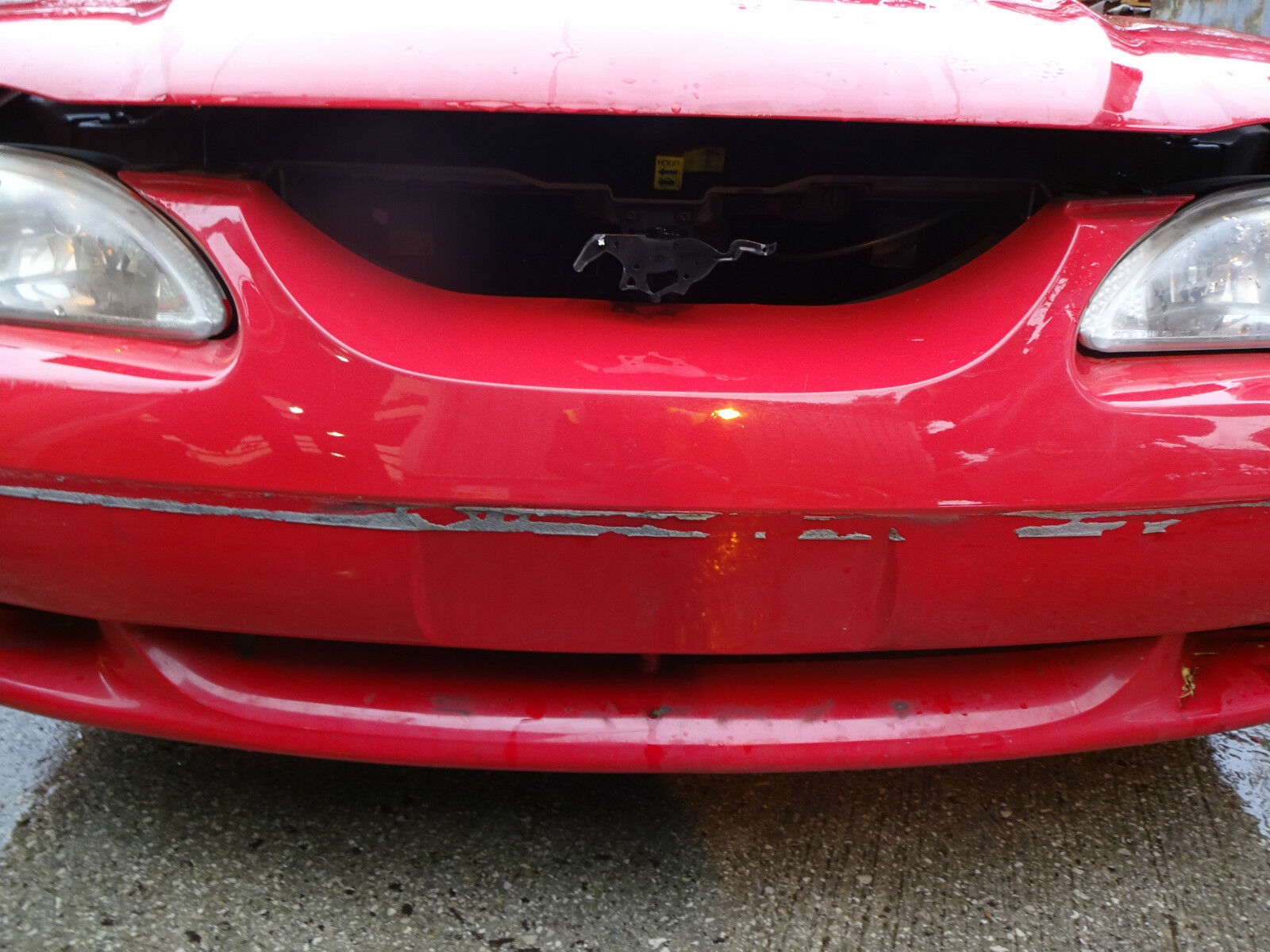 Ford Mustang Front Bumper SN95 Front Bumper Mustang Bumper