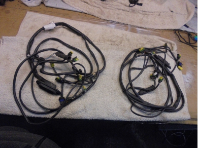 Ferrari F360 Door Wiring Loom Yard SF24