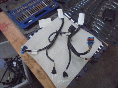 Porsche 996 Headlight Loom Cut 99621530305 H/light Yard SF114